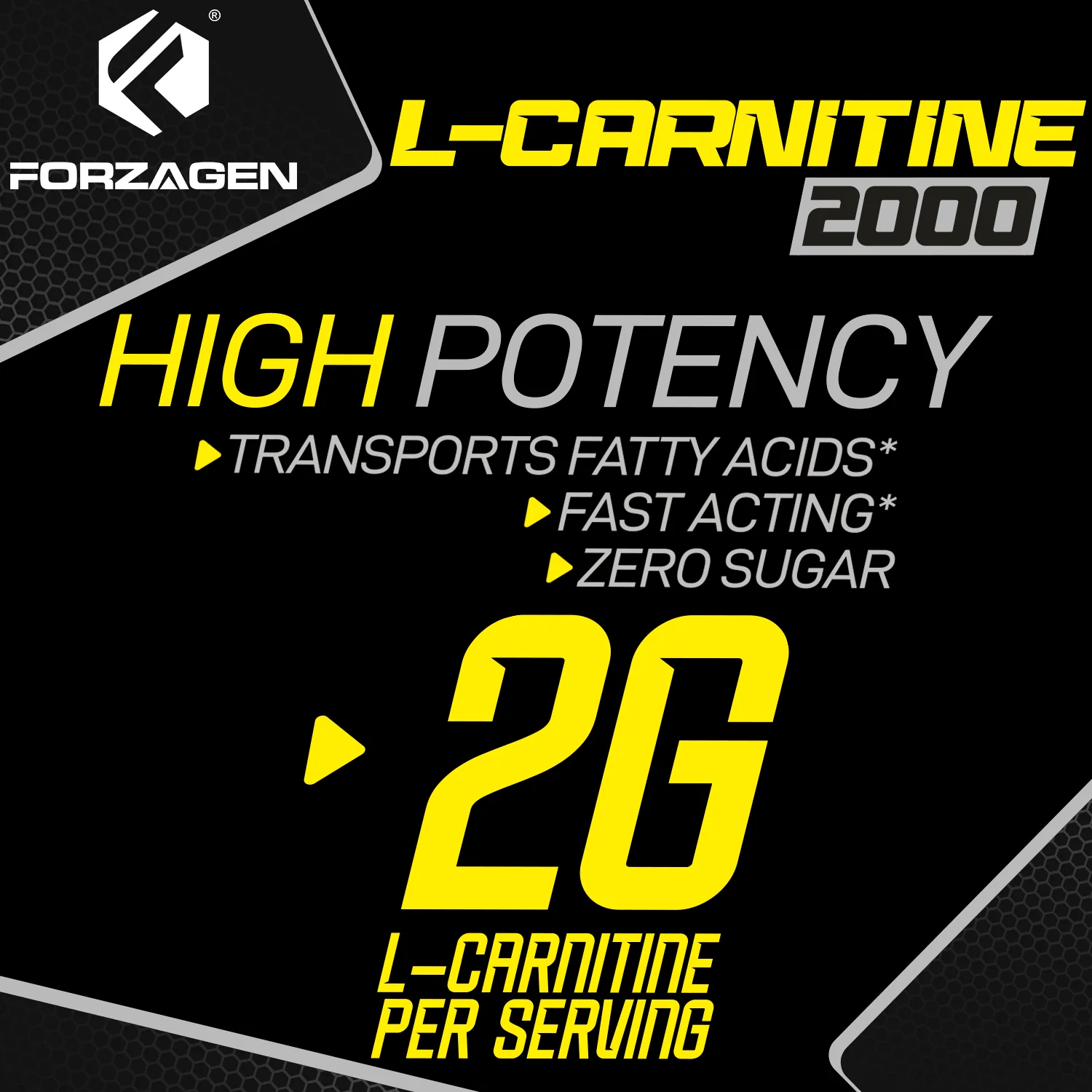 Forzagen L- Carnitine 2000 - Liquid L Carnitine with Vitamin B6 | Acetyl L-Carnitine | L-Tartrate | 30 Servings - Image 15